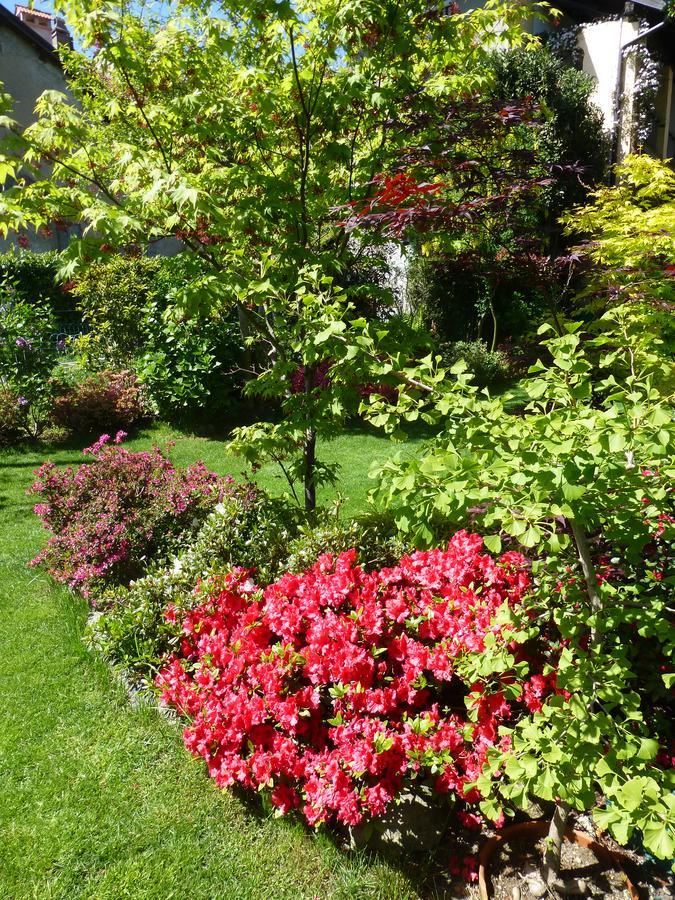 Bed and Breakfast Chez Marianne Astano Exterior foto