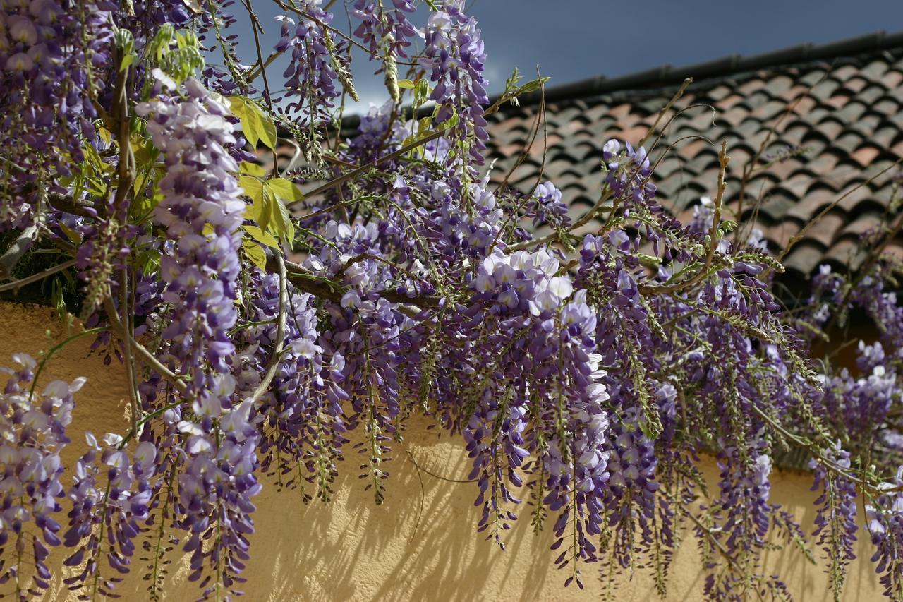 Bed and Breakfast Chez Marianne Astano Exterior foto