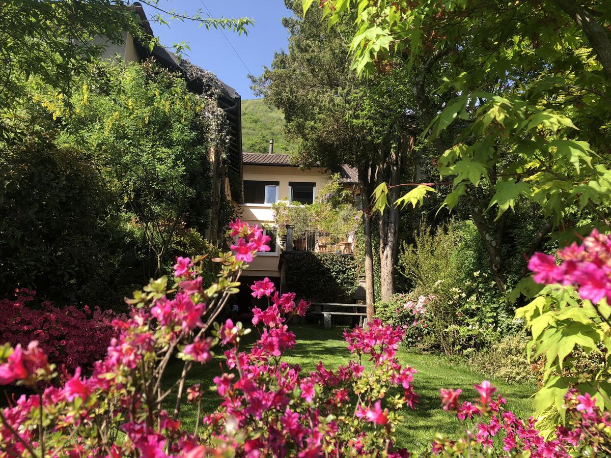 Bed and Breakfast Chez Marianne Astano Exterior foto